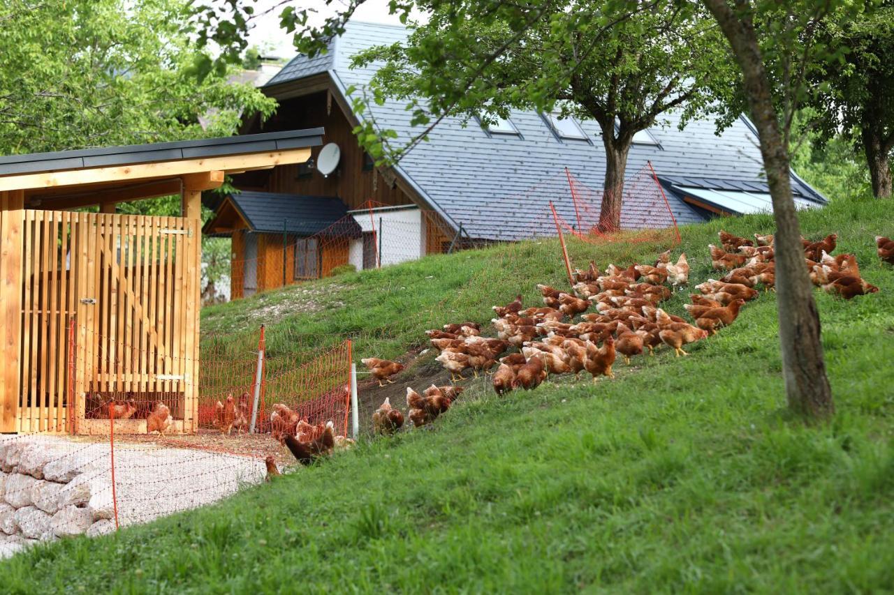 트라운키르헨 Attwengerhof 아파트 외부 사진