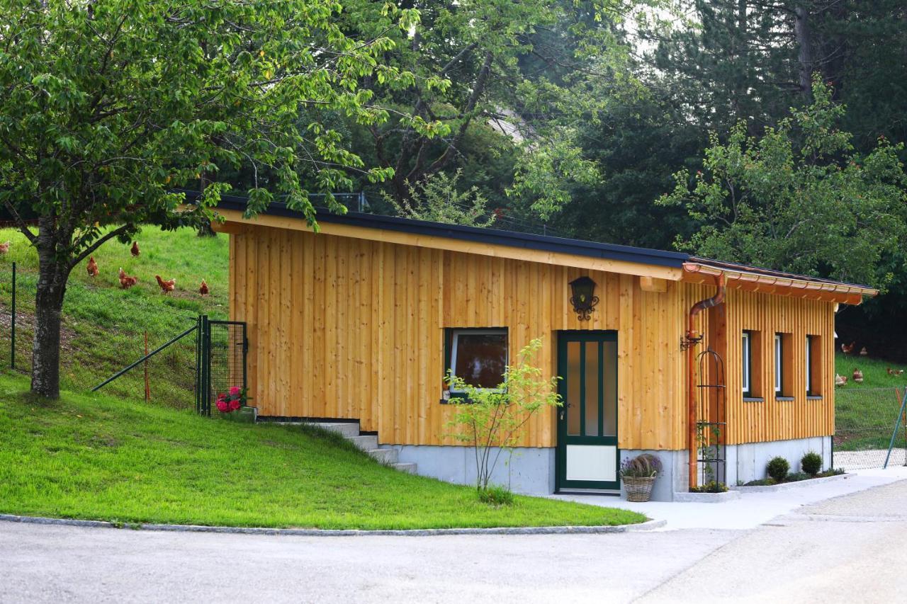 트라운키르헨 Attwengerhof 아파트 외부 사진